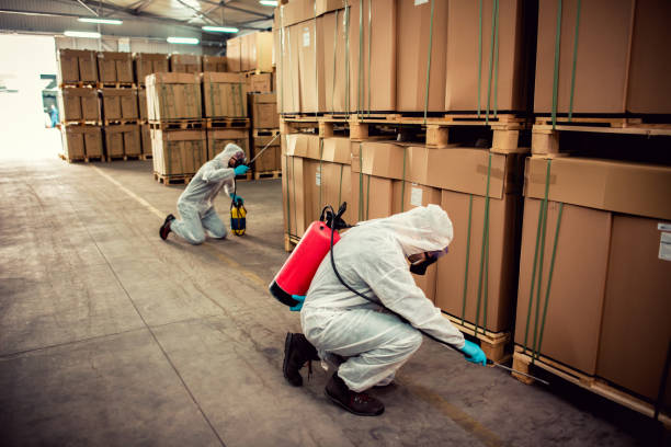Best Bed Bug Extermination  in Laporte, CO