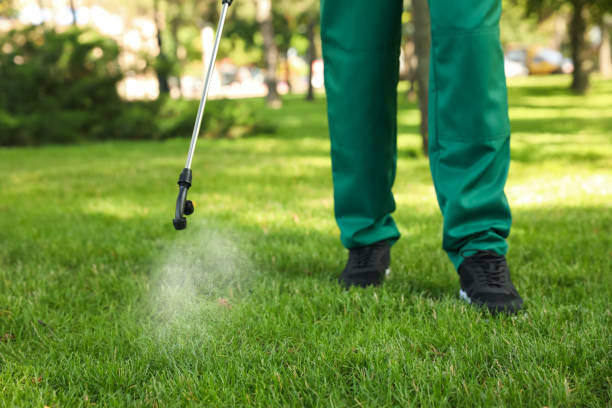 Best Flea Control Services  in Laporte, CO