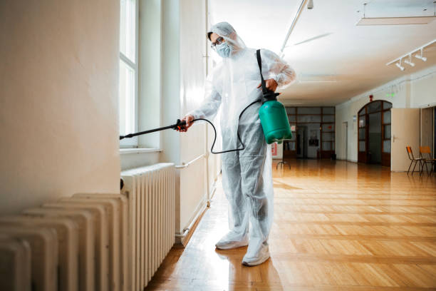 Best Exterminator Services  in Laporte, CO