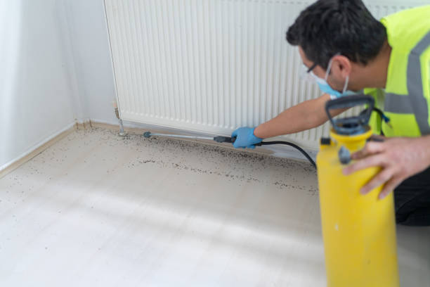 Professional Pest Control in Laporte, CO