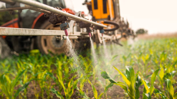 Best Pest Inspection Near Me  in Laporte, CO
